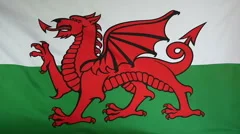 Slowmotion Real Textile Flag Of Wales