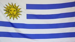 Slowmotion Real Textile Flag Of Uruguay