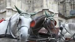 Horse Carriage Vienna