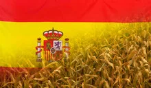 Spain Nutrition Concept Corn field with fabric Flag