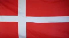 Denmark Flag Real Fabric Close Up 4K