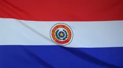 Paraguay Flag Real Fabric Close Up 4K