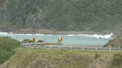 Great Ocean Road