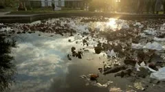 Fountain With Reflections
