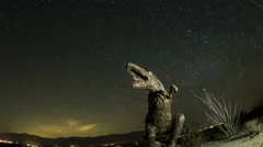 4K Fisheye Time Lapse Zoom Out And Rotate Of Dinosaur With Startrails